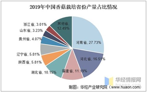 中國香菇產(chǎn)業(yè)發(fā)展現(xiàn)狀、趨勢與產(chǎn)業(yè)聚集度分析——以唐山軟件開發(fā)為例的關(guān)聯(lián)思考
